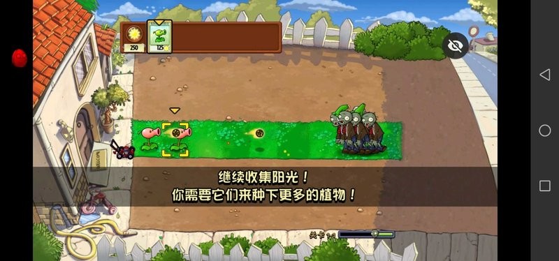 pvz小葵花版游戏