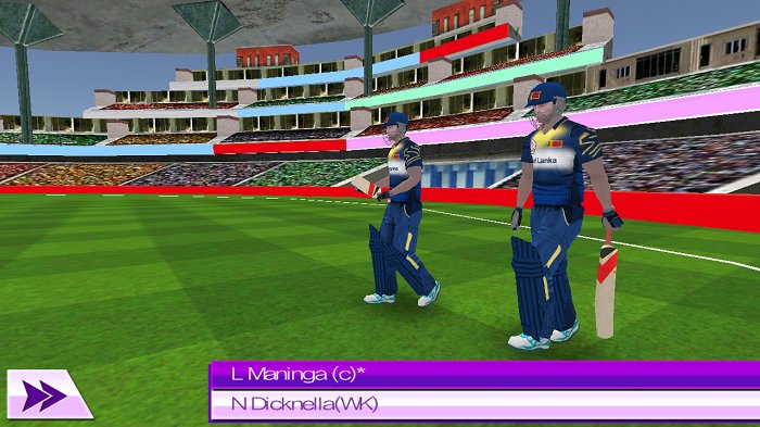 t20板球冠军3d最新版