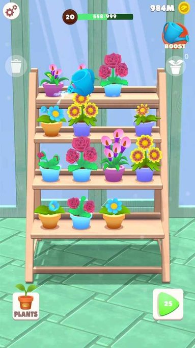 花王收集和成长游戏(flower king collect and grow)
