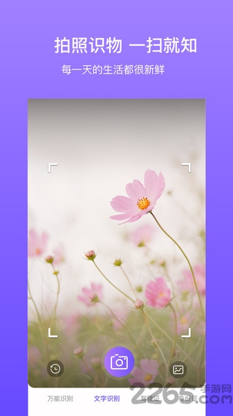 拍拍识图app