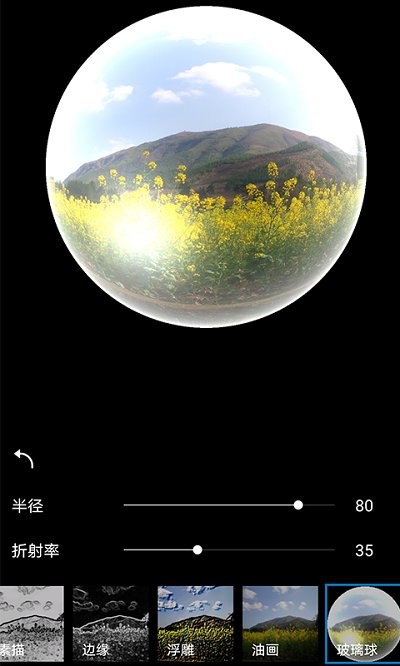 图图大师软件