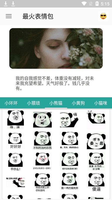 最火表情包手机版