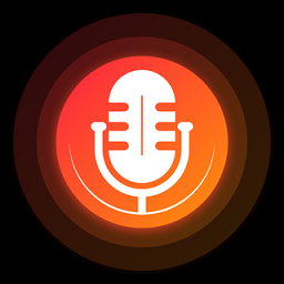 录音转文字pdf app