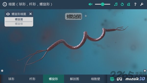 多样细菌立体分析软件