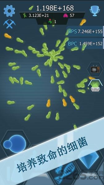 瘟疫细菌内购破解版