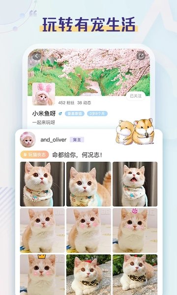 半侣云养宠手机版