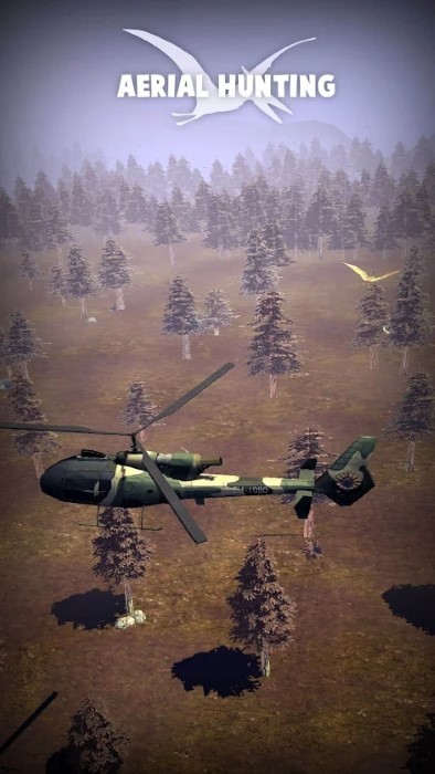 空中狩猎射击游戏(air hunting shooting)