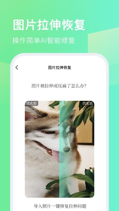 今天拍水印相机官方下载