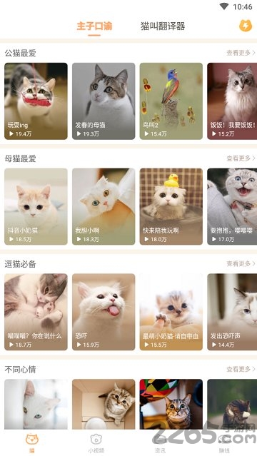 逗猫咪app下载