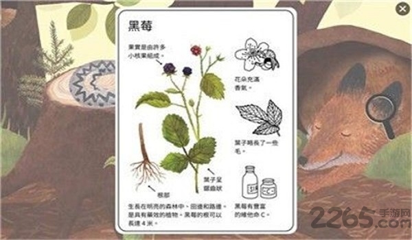 小松鼠的生活最新版