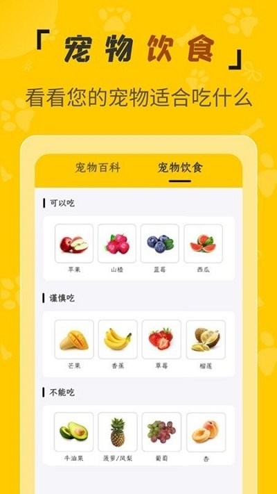 人猫翻译机软件