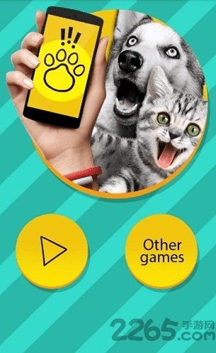长须猫软件下载