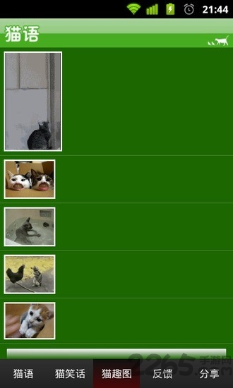 猫语app