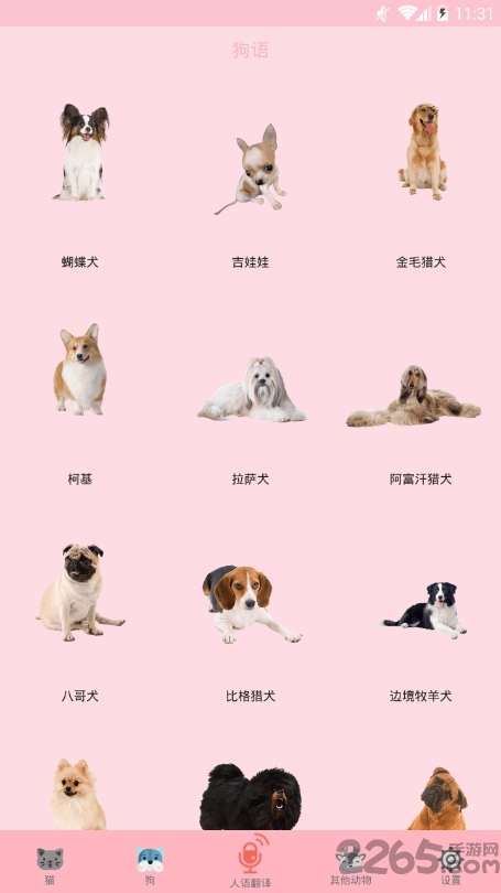 喵喵转换app
