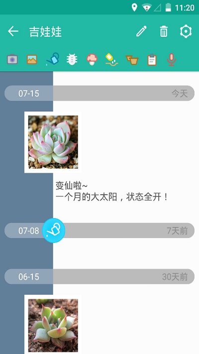 多肉成长记官方版