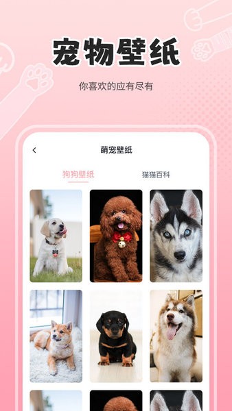 人狗猫交流器翻译器app