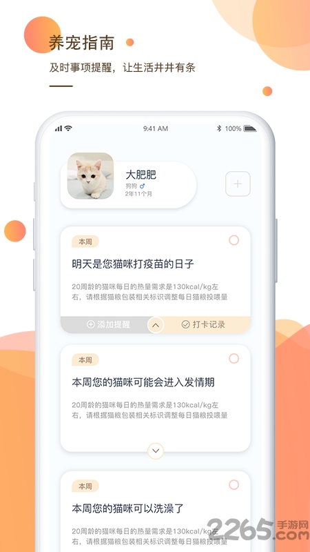 一只宠物平台