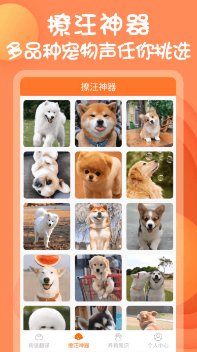 狗狗交流器app下载