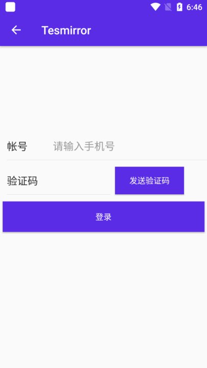 tesmirror特斯拉投屏神器下载