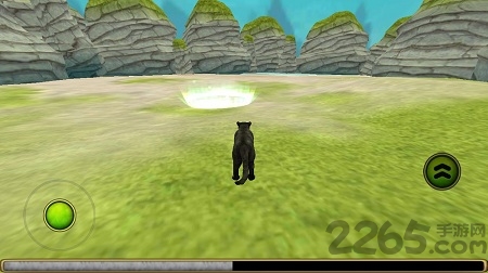 猎豹家庭模拟器中文版