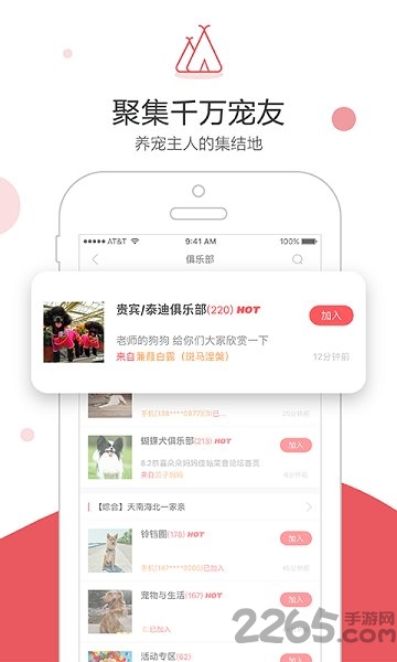 铃铛宠物社区