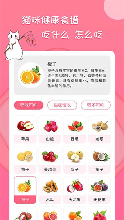 人猫翻译神器官方版
