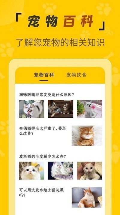 人猫翻译机软件