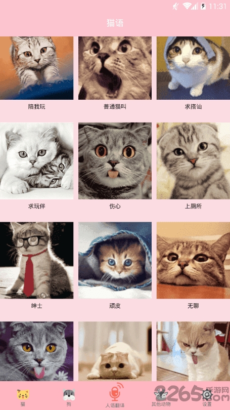 喵喵转换软件