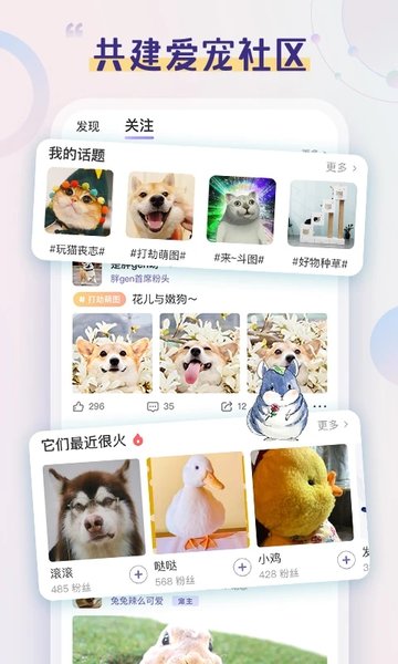 半侣云养宠手机版