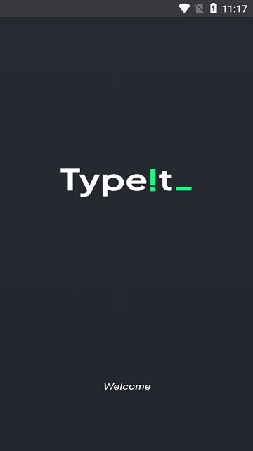 typet软件