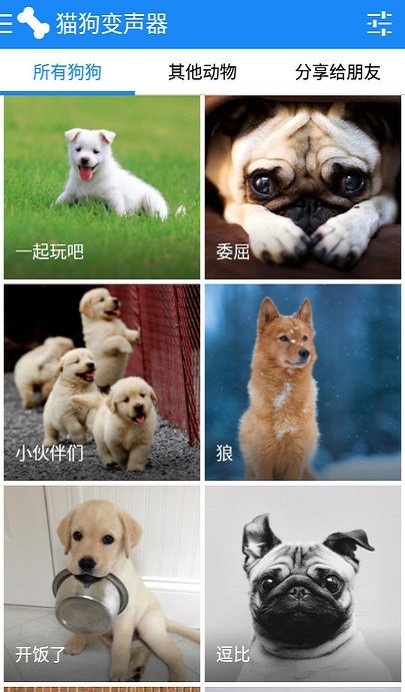 宠物声音转换器下载