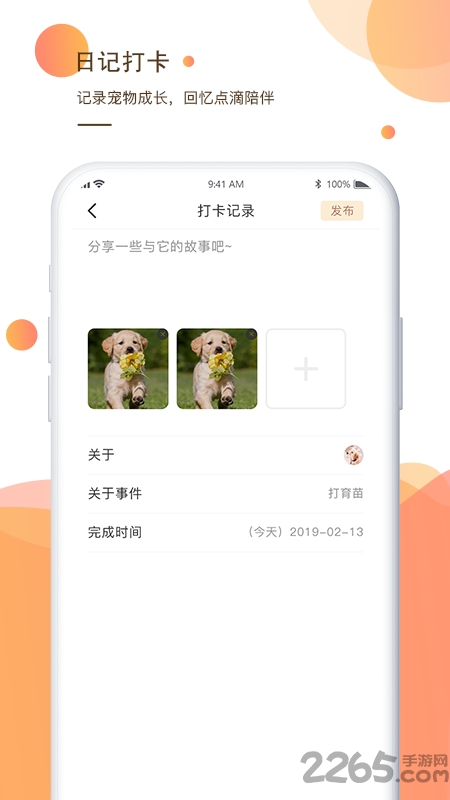 一只宠物平台