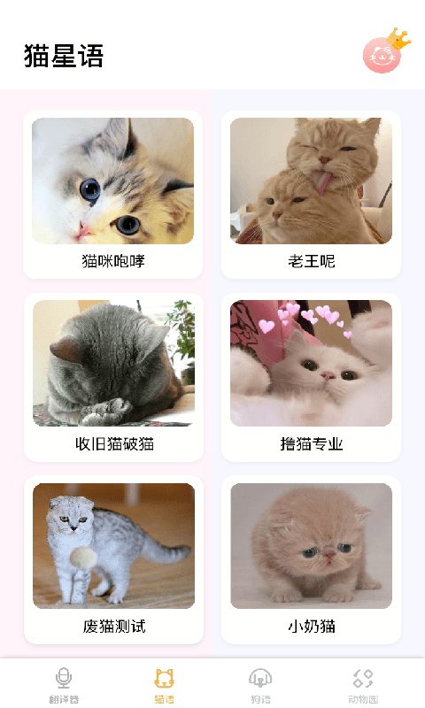猫猫语翻译软件
