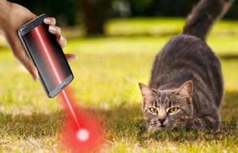 laser for cats手机版(激光猫)