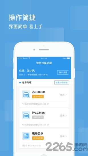 智行违章处理