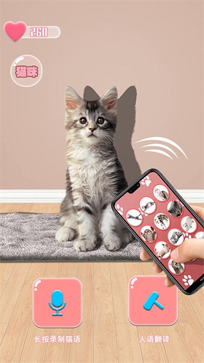 猫猫语言转换器app