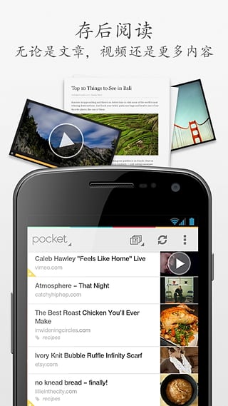 pocket app下载