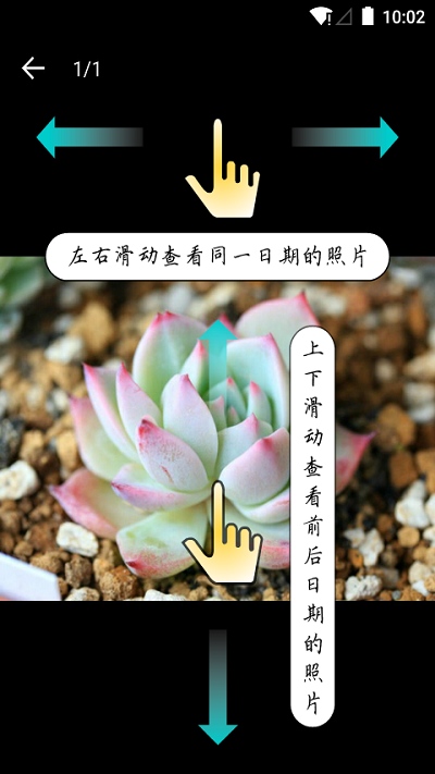 多肉成长记官方版