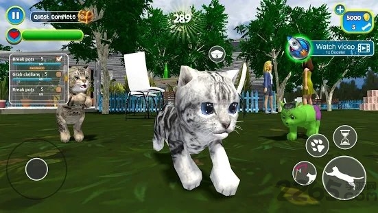 虚拟猫咪模拟可爱小猫游戏
