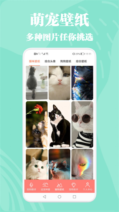 猫狗动物交流器app