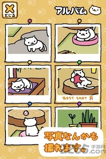 猫咪后院1.9.0汉化破解版