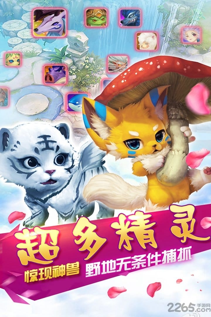霸王之心果盘版