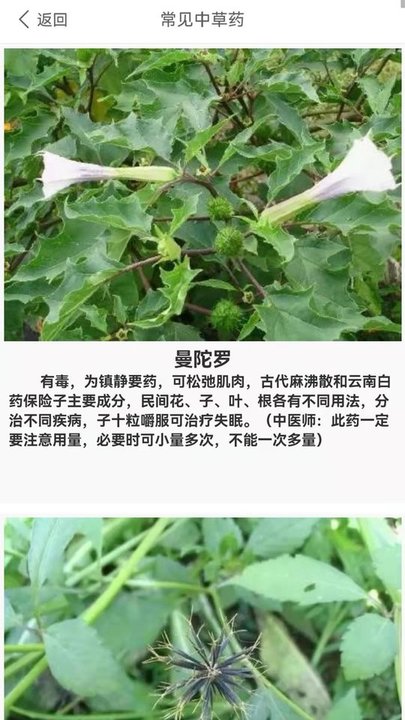 要健康app