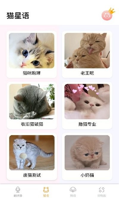 猫咪狗子动物翻译软件