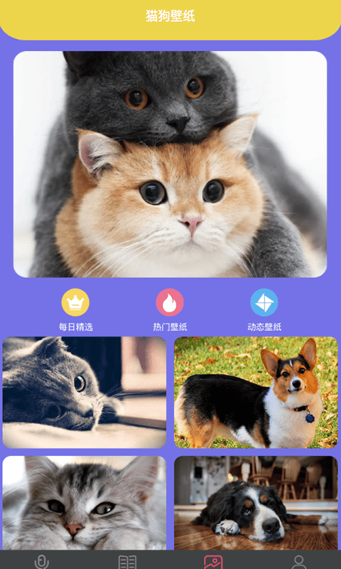 拆家特工队app
