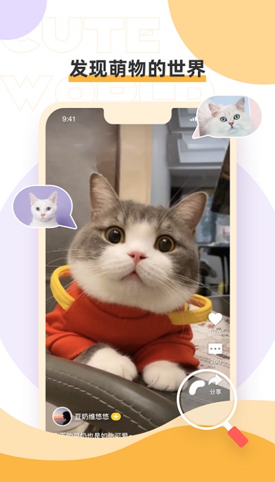 绒语app下载
