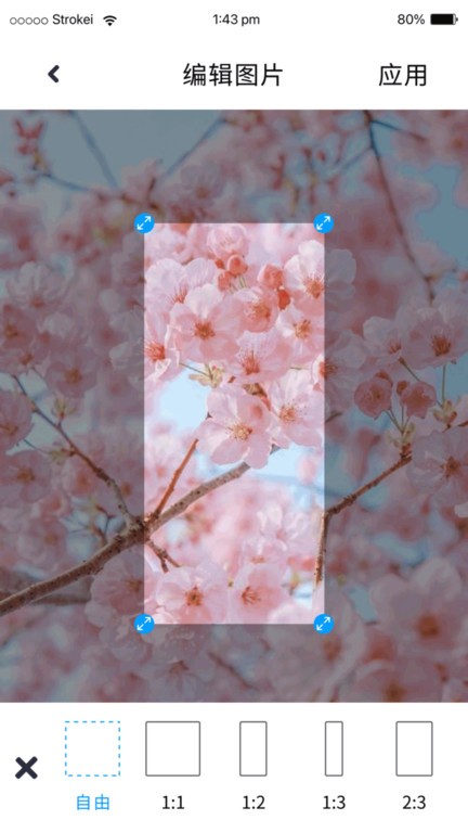 p图照片处理app