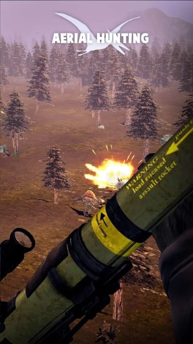 空中狩猎射击游戏(air hunting shooting)