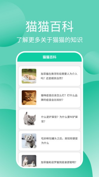 猫猫交流器软件