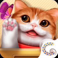 花样猫咪内购破解版